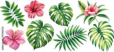 Papier peint  A set of exotic tropical leaves and flowers of plumeria hibiscus strelitzia