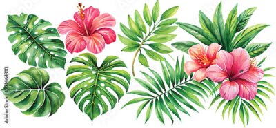 Papier peint  A set of exotic tropical leaves and flowers of plumeria hibiscus strelitzia