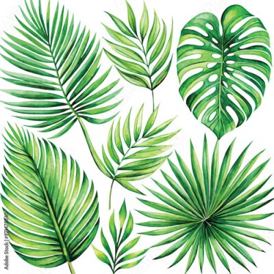 Papier peint  A set of exotic tropical leaves and flowers of plumeria hibiscus strelitzia