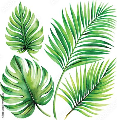 Papier peint  A set of exotic tropical leaves and flowers of plumeria hibiscus strelitzia