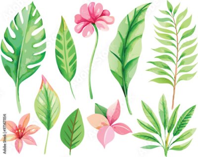Papier peint  A set of exotic tropical leaves and flowers of plumeria hibiscus strelitzia