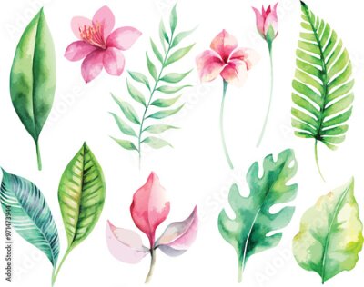 Papier peint  A set of exotic tropical leaves and flowers of plumeria hibiscus strelitzia