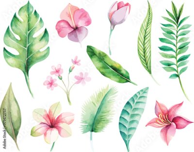 Papier peint  A set of exotic tropical leaves and flowers of plumeria hibiscus strelitzia
