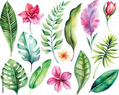Papier peint  A set of exotic tropical leaves and flowers of plumeria hibiscus strelitzia