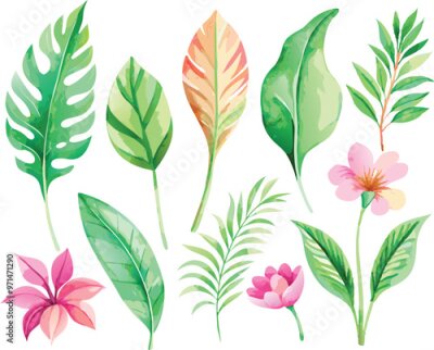Papier peint  A set of exotic tropical leaves and flowers of plumeria hibiscus strelitzia