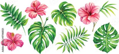 Papier peint  A set of exotic tropical leaves and flowers of plumeria hibiscus strelitzia