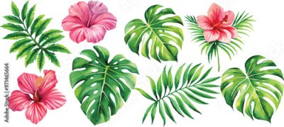 Papier peint  A set of exotic tropical leaves and flowers of plumeria hibiscus strelitzia