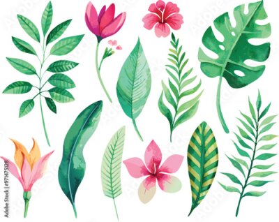 Papier peint  A set of exotic tropical leaves and flowers of plumeria hibiscus strelitzia