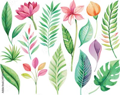 Papier peint  A set of exotic tropical leaves and flowers of plumeria hibiscus strelitzia
