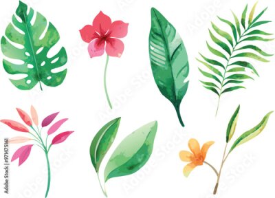Papier peint  A set of exotic tropical leaves and flowers of plumeria hibiscus strelitzia