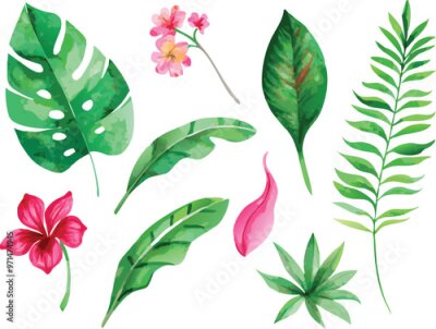 Papier peint  A set of exotic tropical leaves and flowers of plumeria hibiscus strelitzia