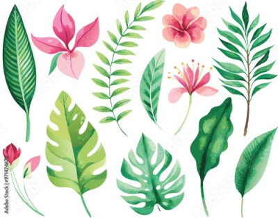 Papier peint  A set of exotic tropical leaves and flowers of plumeria hibiscus strelitzia