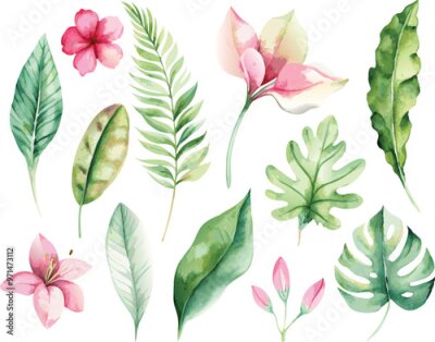 Papier peint  A set of exotic tropical leaves and flowers of plumeria hibiscus strelitzia