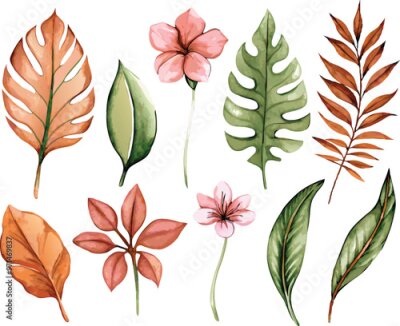 Papier peint  A set of exotic tropical leaves and flowers of plumeria hibiscus strelitzia