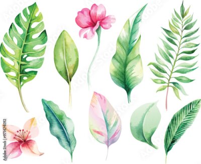 Papier peint  A set of exotic tropical leaves and flowers of plumeria hibiscus strelitzia