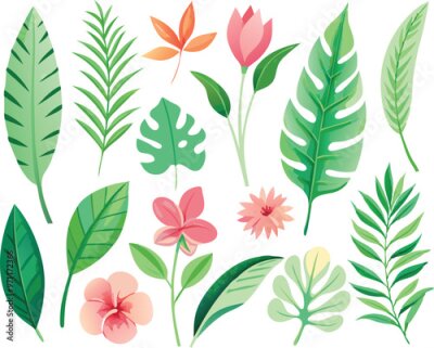 Papier peint  A set of exotic tropical leaves and flowers of plumeria hibiscus strelitzia