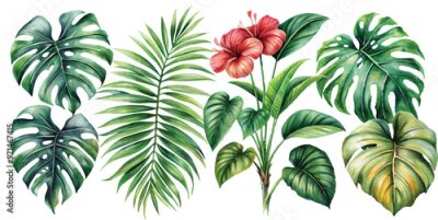 Papier peint  A set of exotic tropical leaves and flowers of plumeria hibiscus strelitzia
