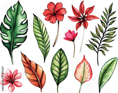 Papier peint  A set of exotic tropical leaves and flowers of plumeria hibiscus strelitzia