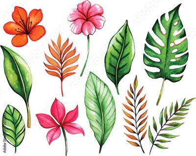 Papier peint  A set of exotic tropical leaves and flowers of plumeria hibiscus strelitzia