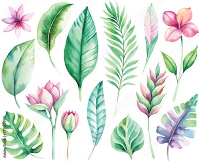 Papier peint  A set of exotic tropical leaves and flowers of plumeria hibiscus strelitzia