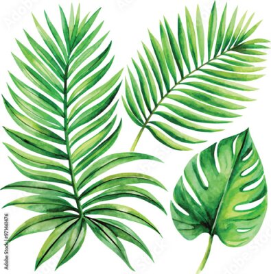 Papier peint  A set of exotic tropical leaves and flowers of plumeria hibiscus strelitzia