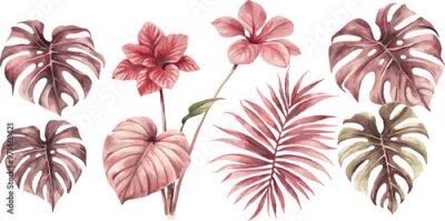 Papier peint  A set of exotic tropical leaves and flowers of plumeria hibiscus strelitzia