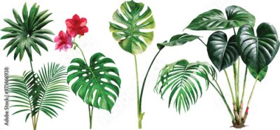 Papier peint  A set of exotic tropical leaves and flowers of plumeria hibiscus strelitzia