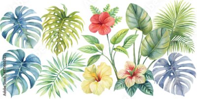 Papier peint  A set of exotic tropical leaves and flowers of plumeria hibiscus strelitzia