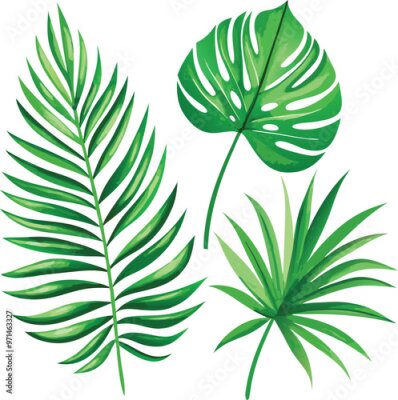 Papier peint  A set of exotic tropical leaves and flowers of plumeria hibiscus strelitzia