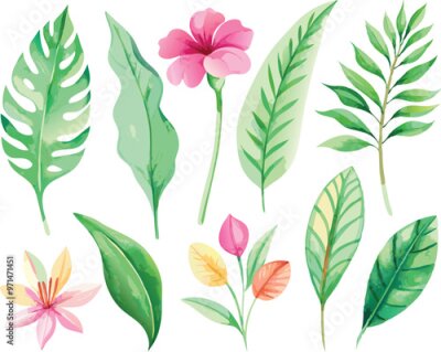 Papier peint  A set of exotic tropical leaves and flowers of plumeria hibiscus strelitzia