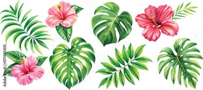 Papier peint  A set of exotic tropical leaves and flowers of plumeria hibiscus strelitzia
