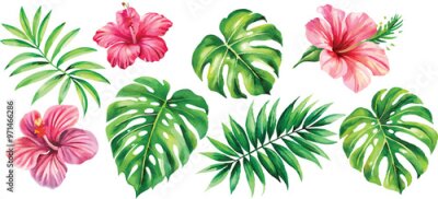 Papier peint  A set of exotic tropical leaves and flowers of plumeria hibiscus strelitzia