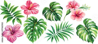 Papier peint  A set of exotic tropical leaves and flowers of plumeria hibiscus strelitzia