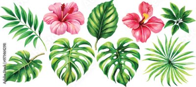 Papier peint  A set of exotic tropical leaves and flowers of plumeria hibiscus strelitzia