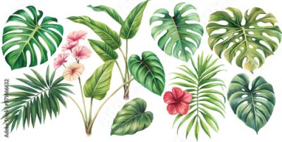 Papier peint  A set of exotic tropical leaves and flowers of plumeria hibiscus strelitzia