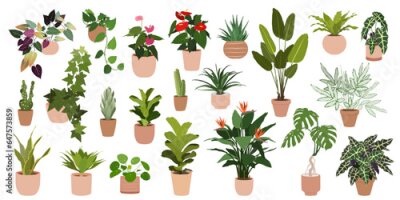 Papier peint  A set of fashionable houseplants. Various indoor plants isolated on a white background. Alocasia, begonia, fan palm, monstera, ficus, strelitzia and oxalis. Colored flat vector illustration 