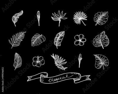 Papier peint  A set of silhouettes of tropical elements of tropical strelitzia flower, hibiscus, monster leaves, banana leaves, etc. Hand-drawn doodle-style elements on a black background. Hand-drawn tropical.