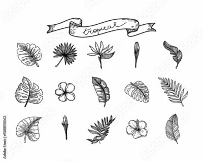 Papier peint  A set of silhouettes of tropical elements of tropical strelitzia flower, hibiscus, monster leaves, banana leaves, etc. Hand-drawn sketch style doodle on white background. Hand-drawn tropical.