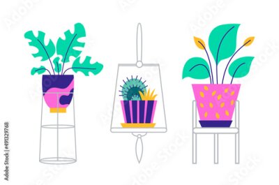 Papier peint  A set of trendy potted plants and flowers for the home. Various houseplants and flowers in stands isolated on white background. Monstera, cactus, strelitzia and oxalis. Color flat vector illustration.