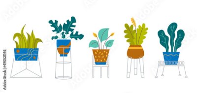 Papier peint  A set of trendy potted plants and flowers for the home. Various houseplants and flowers in stands isolated on white background. Monstera, cactus, strelitzia and oxalis. Color flat vector illustration.