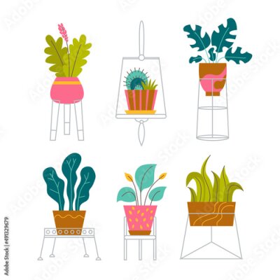 Papier peint  A set of trendy potted plants and flowers for the home. Various houseplants and flowers in stands isolated on white background. Monstera, cactus, strelitzia and oxalis. Color flat vector illustration.