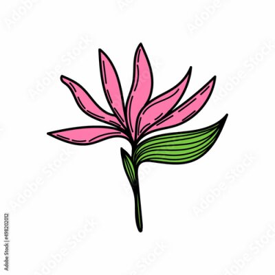 Papier peint  A simple tropical flower-strelitzia icon. Hand-drawn doodle-style sketch of a bright flower. Tropics. Strelittia. Isolated vector illustration.
