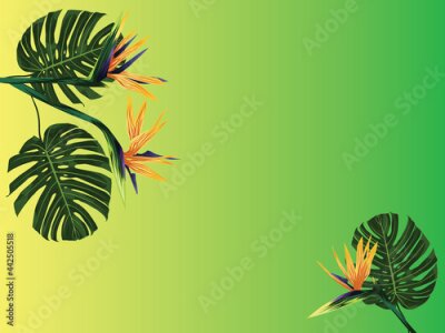 Papier peint  A tropical banner. Royal strelitzia flowers and monstera leaves on a background with a degrade effect from yellow to green. A tropical plant. Vector illustration for design and web.