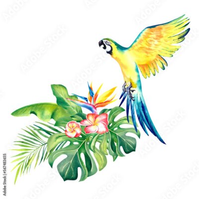 Papier peint  A tropical composition of palm branches and a yellow Macaw parrot. Watercolor illustration. Exotic birds. Monstera. Banana leaves. Plumeria. Strelitzia.