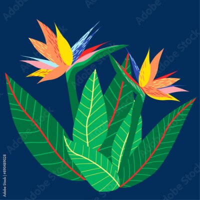 Papier peint  A vibrant botanical illustration featuring colorful strelitzia flowers. The composition includes large, textured green leaves, set against a dark blue background. Hand-drawn vector illustration.