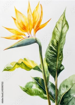 Papier peint  A watercolor painting featuring a lifelike strelitzia branch.