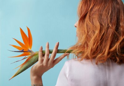 Papier peint  A woman is holding a beautiful flowering strelitzia