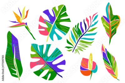 Papier peint  Abstract art tropical leaves and flowers. Monstera, palm, croton leaves, strelitzia and anthurium flower. Isolated set on white background. Colorful modern forms. Vector illustration.