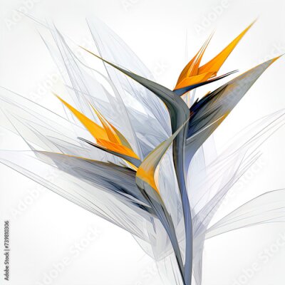Papier peint  Abstract Bird of Paradise (Royal strelitzia) petals, black and white illustration. Illustration for design, for paintings