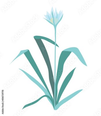 Papier peint  Abstract blue strelitzia in flat design. Tropical flower with green leaves. Vector illustration isolated.